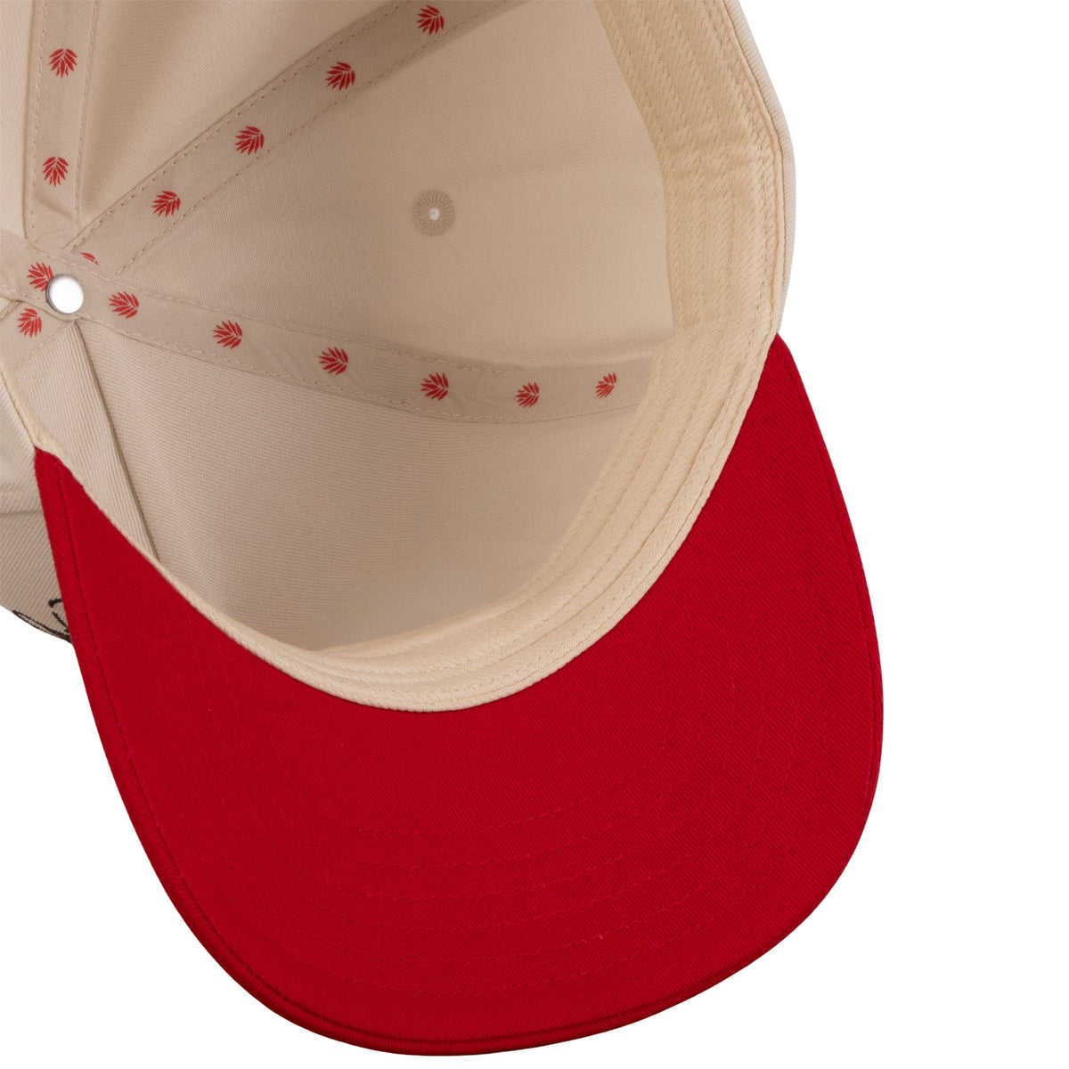 Hat Inventor Cap