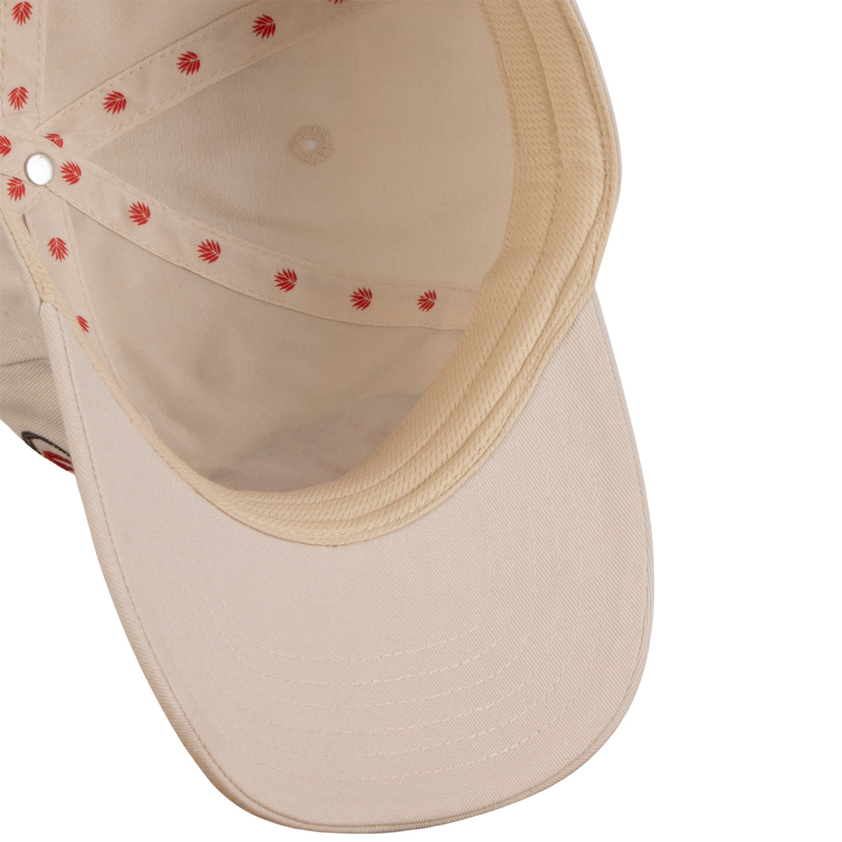 Set The Standard Cap
